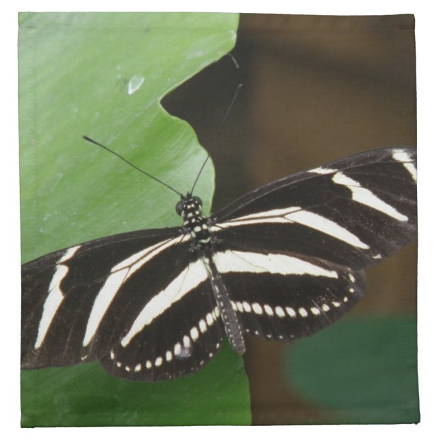 Pretty Zebra Longwing Butterfly Napkin (Front)