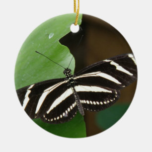 Pretty Zebra Longwing Butterfly Ornament