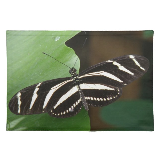 Pretty Zebra Longwing Butterfly Placemat (Front)