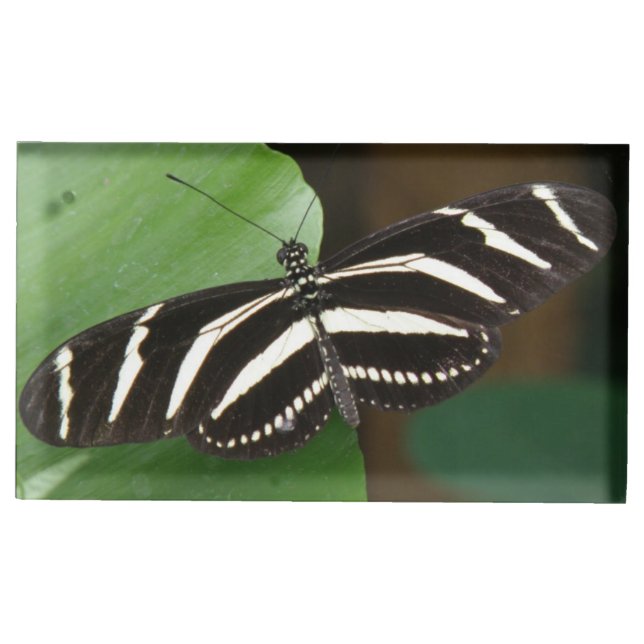Pretty Zebra Longwing butterfly Table Card Holder (Front)
