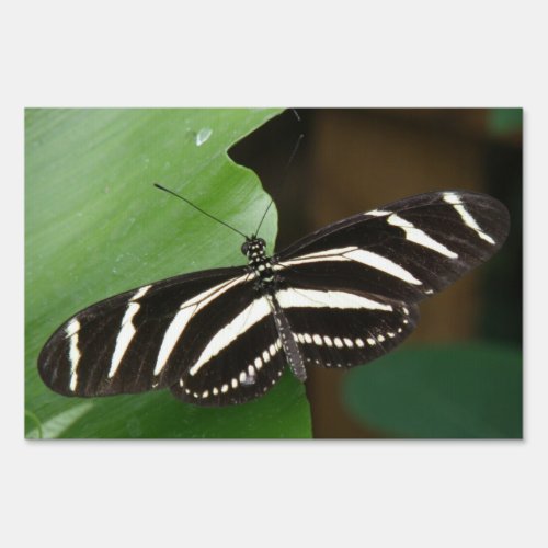 Pretty Zebra Longwing Butterfly Yard Sign