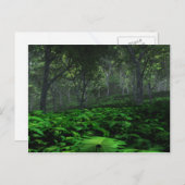 Prevailing Forest Postcard (Front/Back)