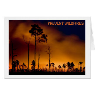Prevent Wildfire Cards