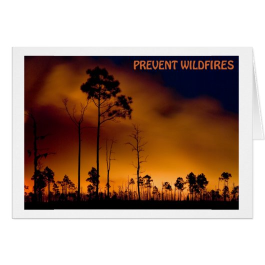 Prevent Wildfire Cards (Front Horizontal)