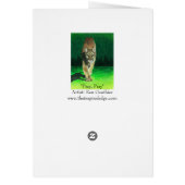 "Prey, Pray" Cougar Cards (Back)