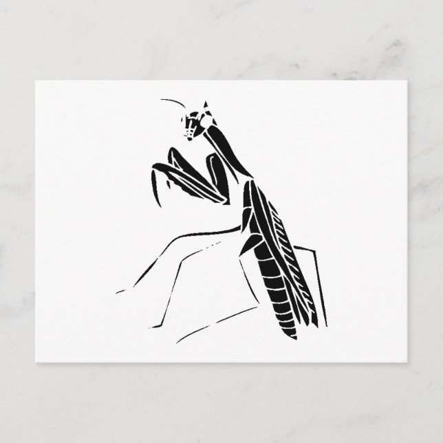 Preying Mantis Silhouette Postcard (Front)