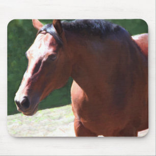 Priceless Mischief (Portia) Mouse Pad