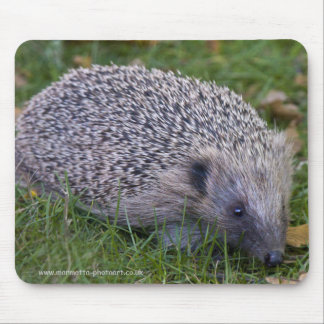 Prickles Mousemat Mouse Pad