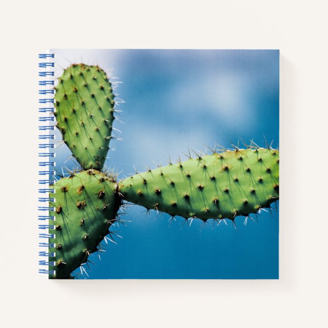 Prickley Cactus Notebook (Front)