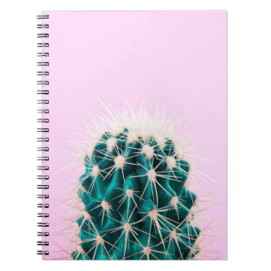 Prickley Cactus on Pink Notebook