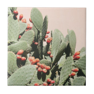 Prickley Pear Cactus Ceramic Tile