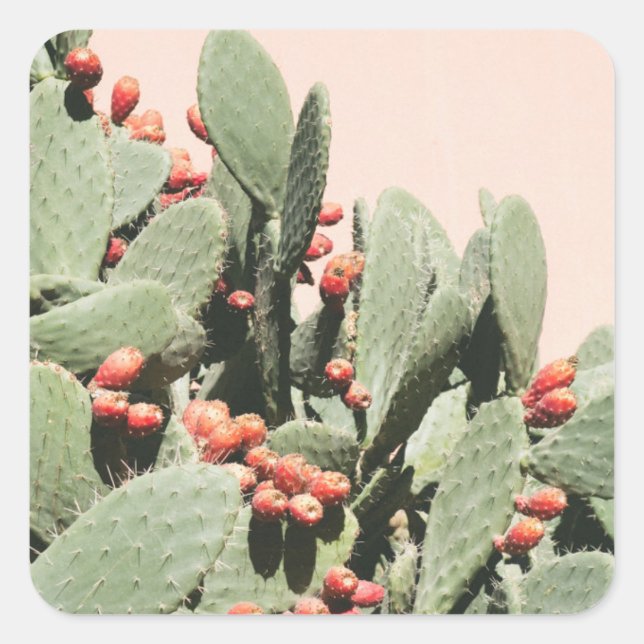 Prickley Pear Cactus Square Sticker (Front)