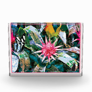 Prickly Bromie Photo Block
