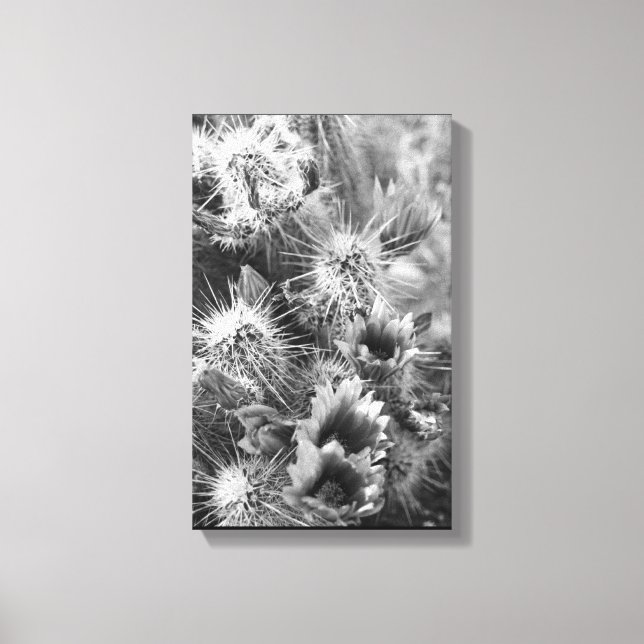 Prickly Cactus Flowers Desert B&W Photo Art Prints (Front)