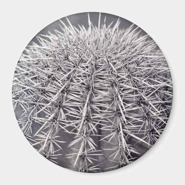 Prickly Cactus Sonoran Desert Refrigerator Magnet (Front)