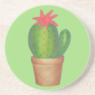 Prickly Green Cactus Garden Flower Potted Plant Sandstone Coaster