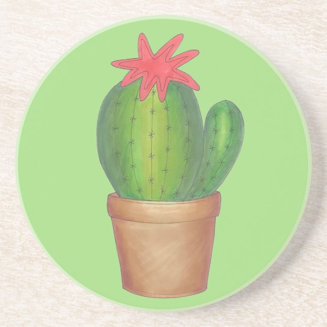 Prickly Green Cactus Garden Flower Potted Plant Sandstone Coaster (Front)