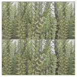 Prickly Green Cactus Plants, Fabric