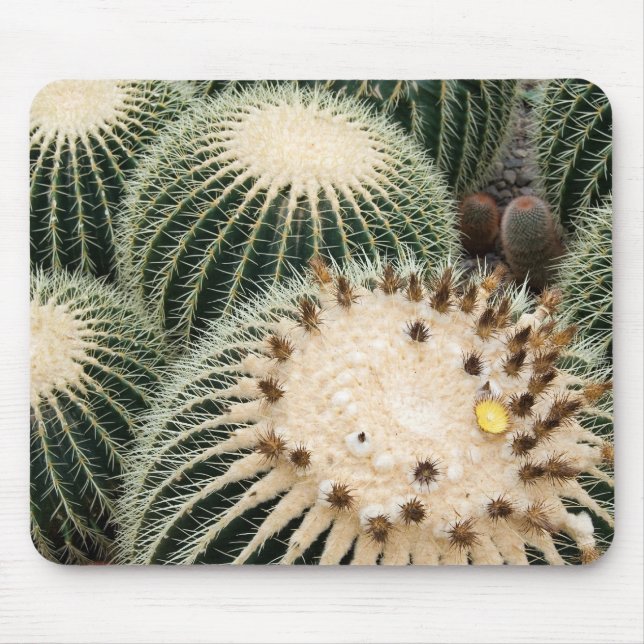 Prickly Pad Mouse Pad (Front)