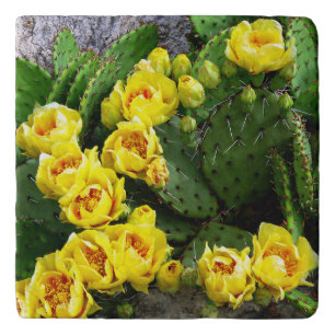 Prickly Pear Against Stone Trivet