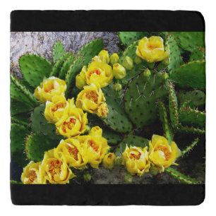 Prickly Pear Against Stone Trivet