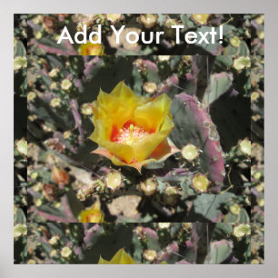Prickly Pear Black Spined Poster