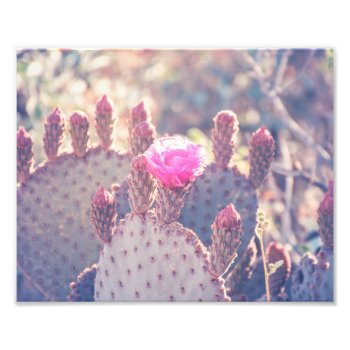 Prickly Pear Blossom | Photo Print by GaeaPhoto at Zazzle
