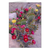 Prickly Pear Cacti (Front)