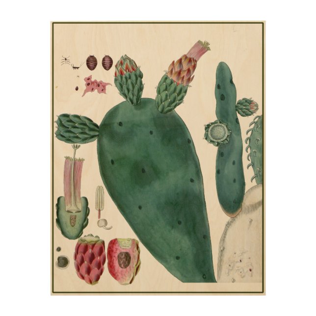 Prickly Pear Cactus Botanical Wood Wall Art (Front)