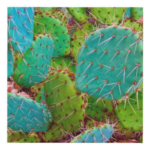 Prickly Pear Cactus Desert Garden Green Faux Canvas Print