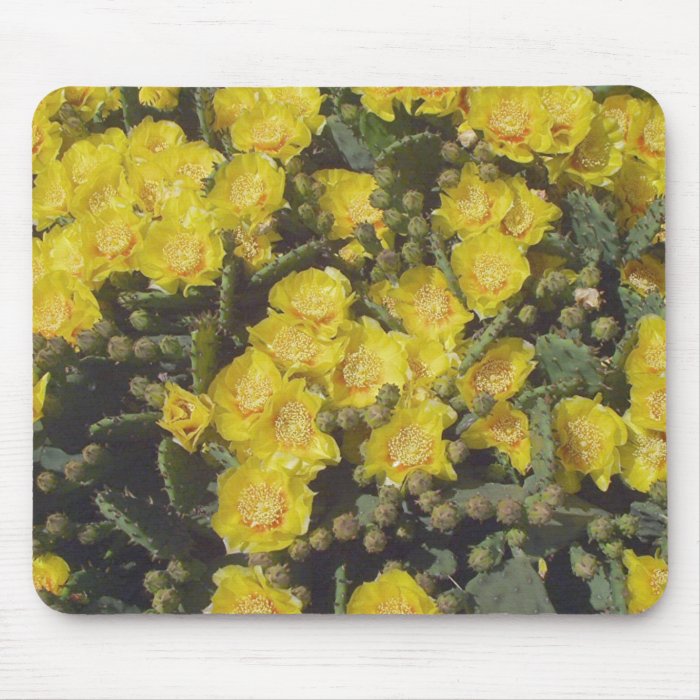 Prickly Pear Cactus Flower Mouse Pads