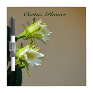 Prickly Pear Cactus Flowers Floral Botanical