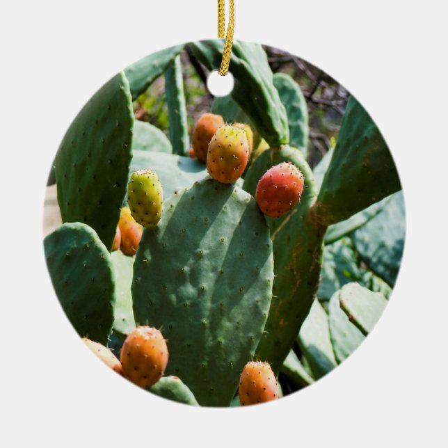 Prickly Pear Cactus Fruit Ceramic Ornament (Front)
