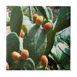 Prickly Pear Cactus Fruit Ceramic Tile