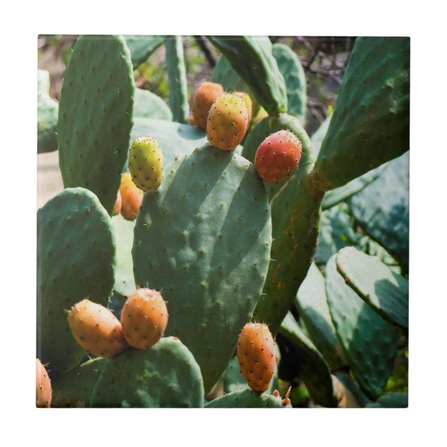 Prickly Pear Cactus Fruit Ceramic Tile (Front)