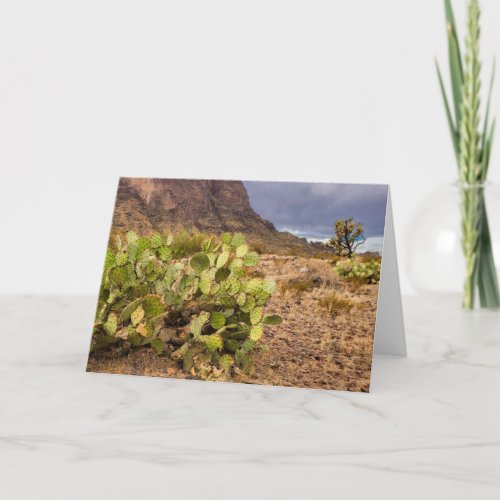 Prickly Pear Cactus In Desert Mountains Arizona Card