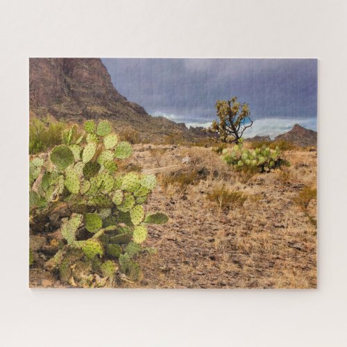 Prickly Pear Cactus In Desert Mountains Arizona Ji Jigsaw Puzzle