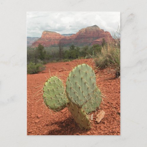 Prickly pear cactus in Sedona Arizona _ Postcard