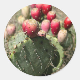 Prickly Pear Cactus In Texas Classic Round Sticker
