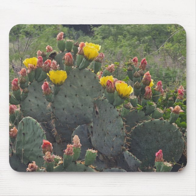 Prickly Pear Cactus Mouse Pad (Front)