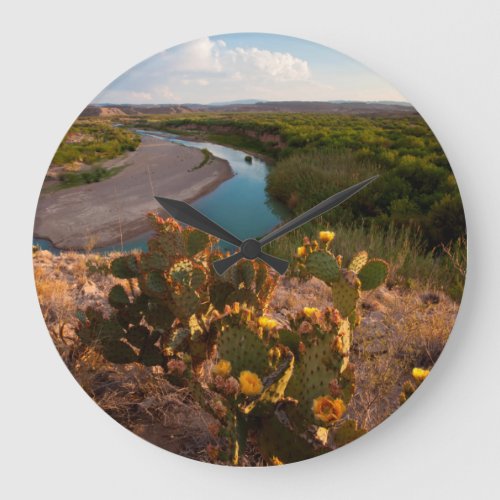 Prickly Pear Cactus Opuntia Sp Large Clock