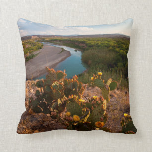 prickly pear cactus pillow