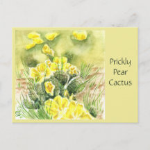 Prickly Pear Cactus Post C ard