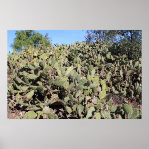 Prickly Pear Gifts Poster