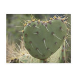 Prickly Pear Heart Postcard