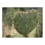 Prickly Pear Heart Poster
