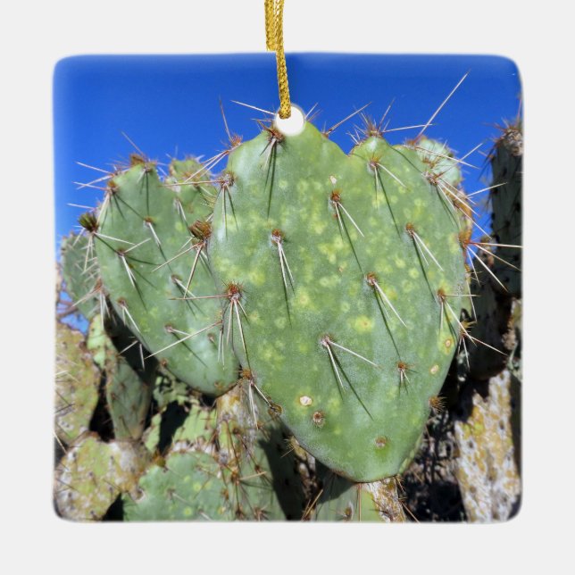 Prickly Pear Hearts Ceramic Ornament (Front)