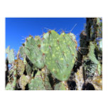 Prickly Pear Hearts Poster