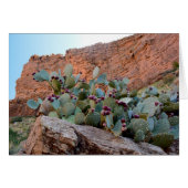 Prickly Pear in Grand Canyon (Front Horizontal)