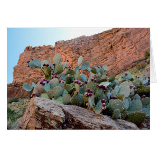 Prickly Pear in Grand Canyon Cards